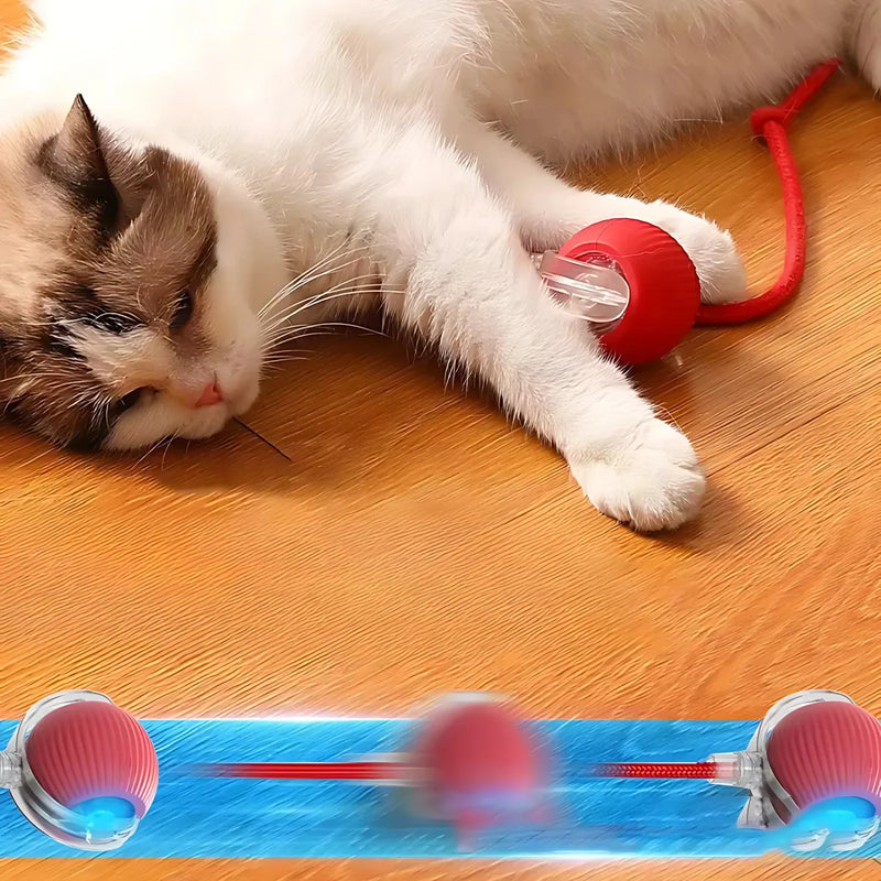 Smart Interactive Pet Ball Toy