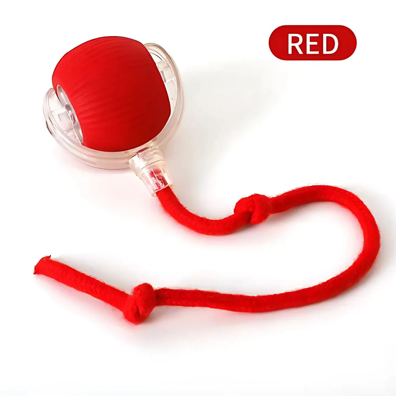 Smart Interactive Pet Ball Toy