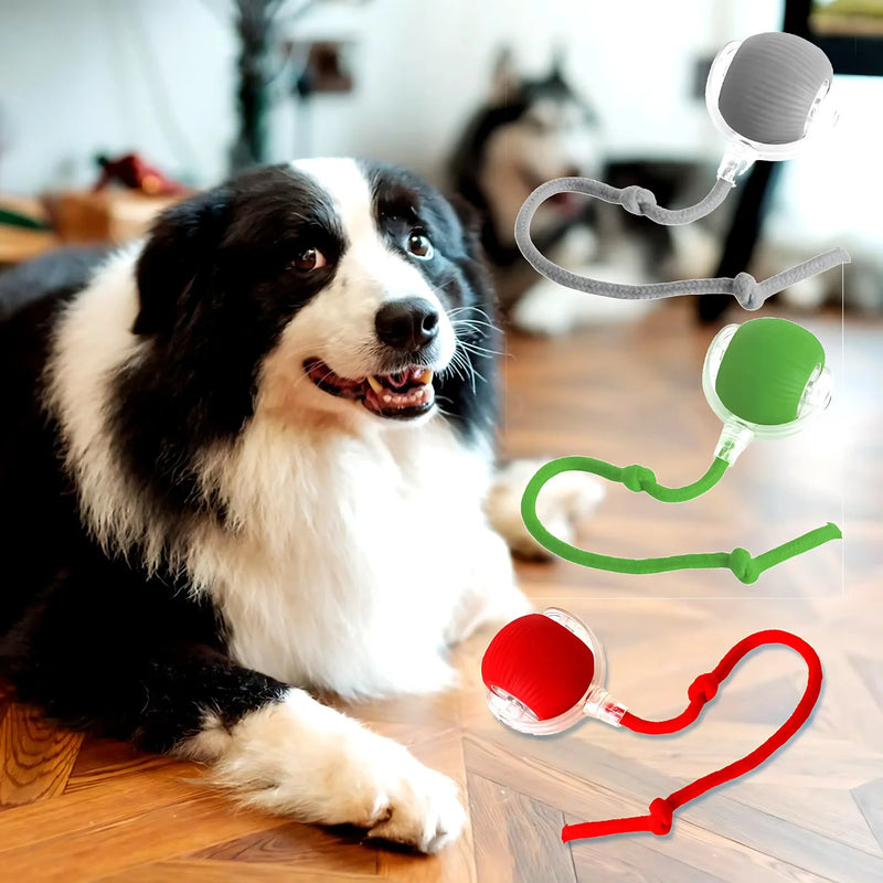 Smart Interactive Pet Ball Toy