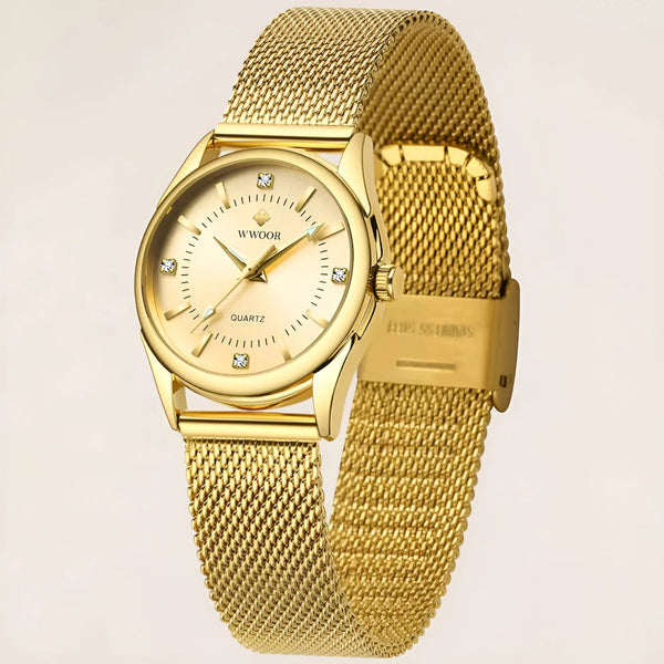 Women's Stainless Steel Mesh Watch