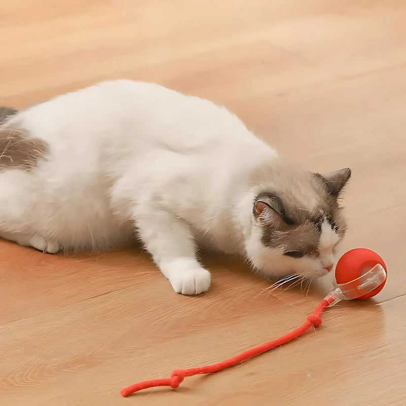 Smart Interactive Pet Ball Toy