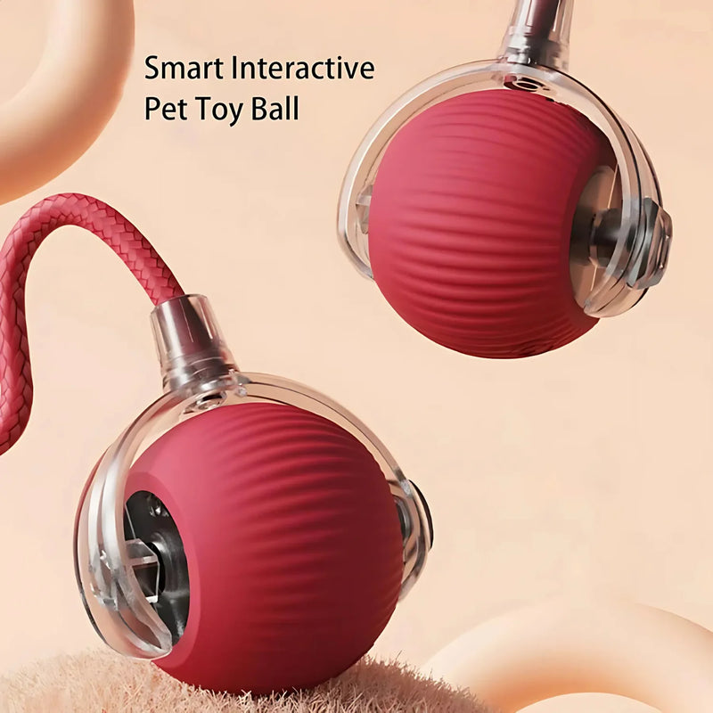 Smart Interactive Pet Ball Toy