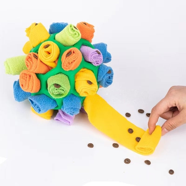 Dog Chew Toy